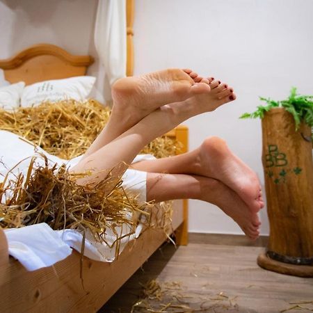 Landhotel Moorhof Franking Zewnętrze zdjęcie