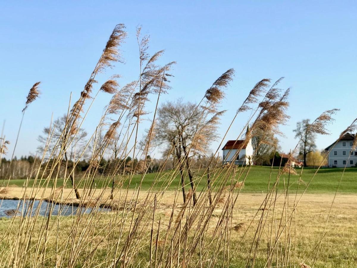 Landhotel Moorhof Franking Zewnętrze zdjęcie
