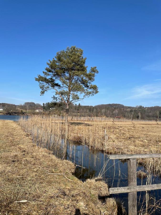 Landhotel Moorhof Franking Zewnętrze zdjęcie
