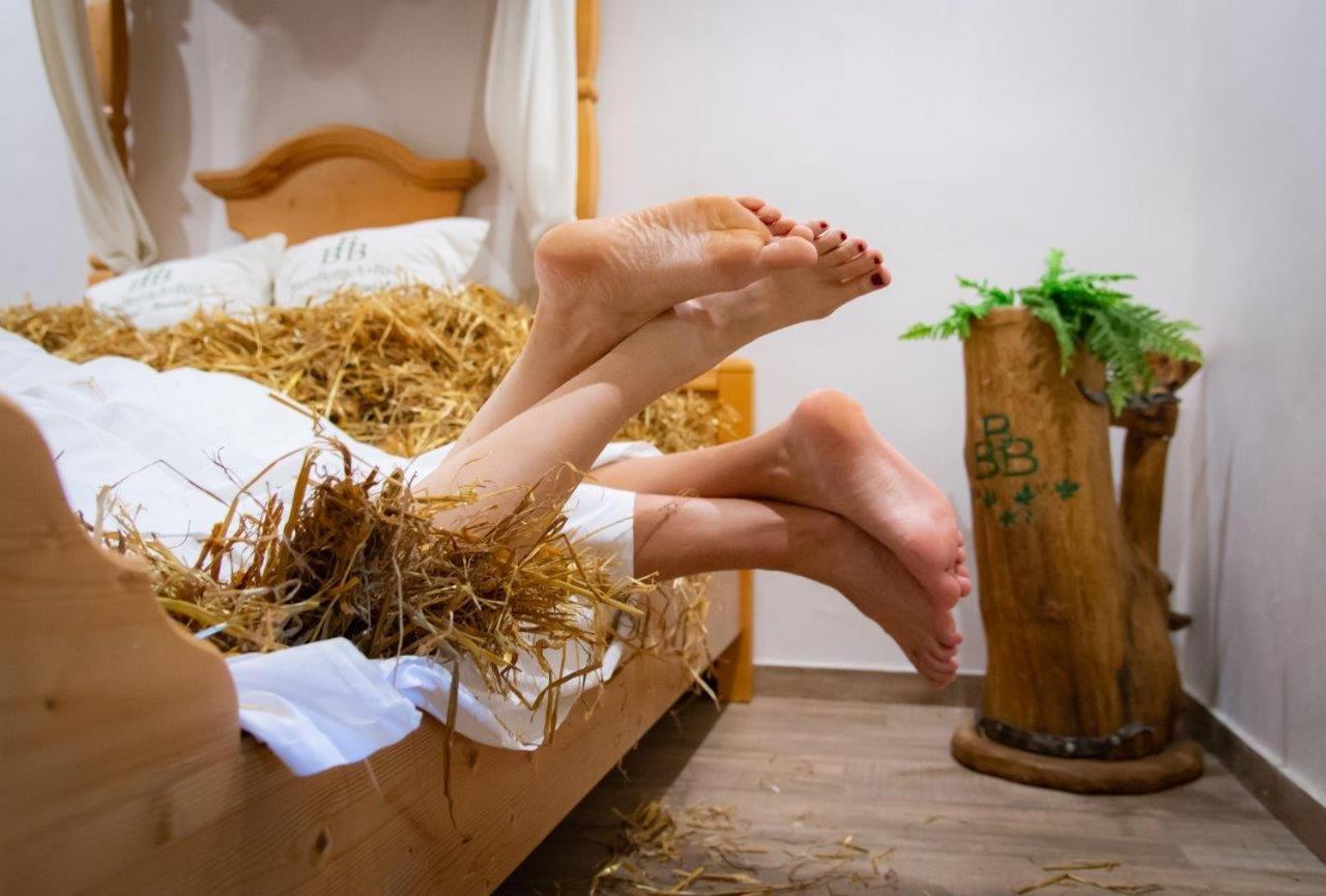 Landhotel Moorhof Franking Zewnętrze zdjęcie